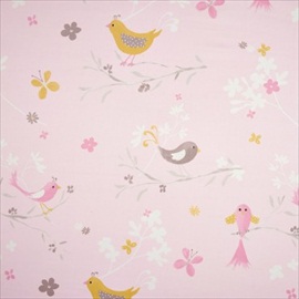 Oiseaux DCN 2249 41 02