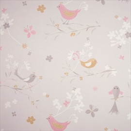 Oiseaux DCN 2249 91 17