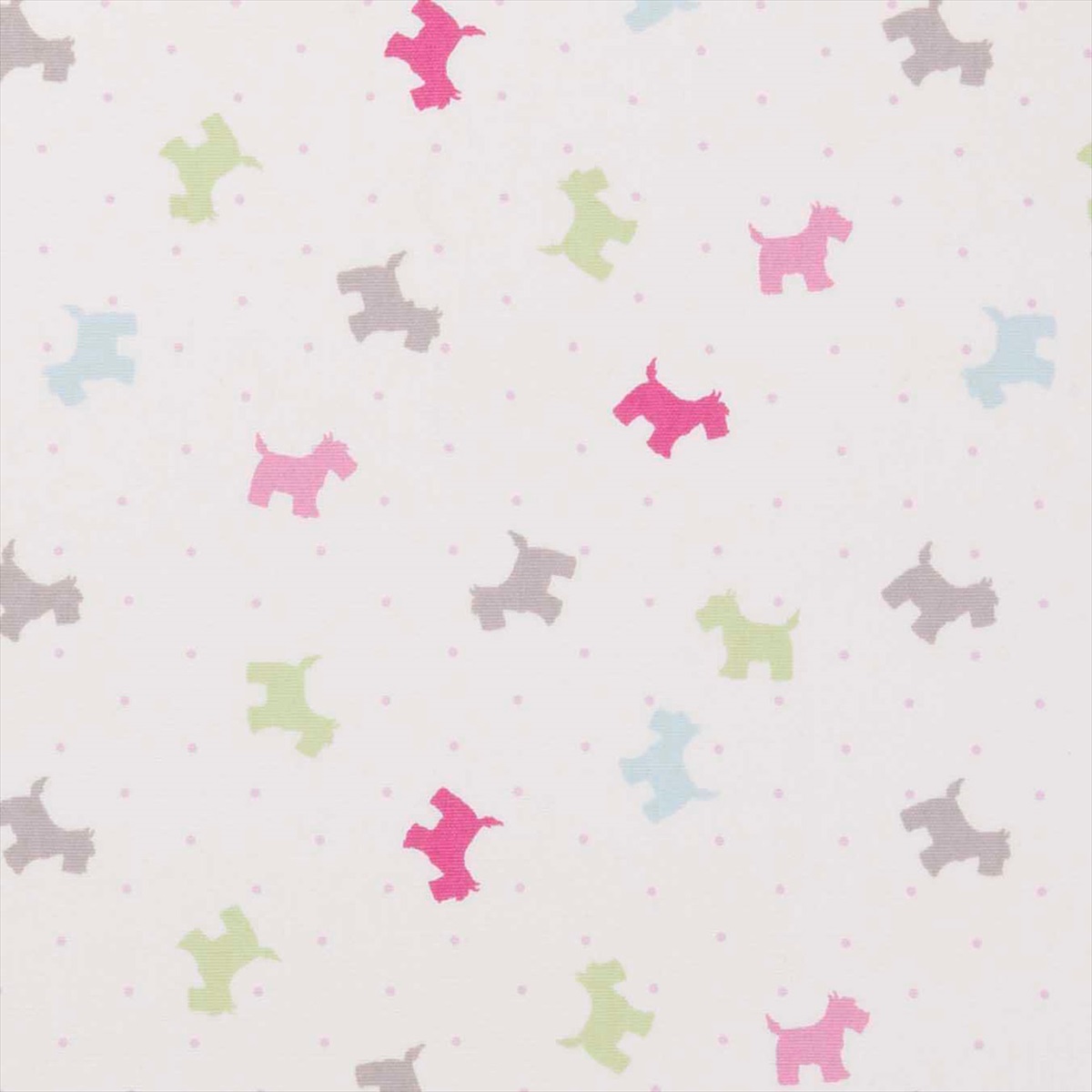 Alfie Summer F0442-03