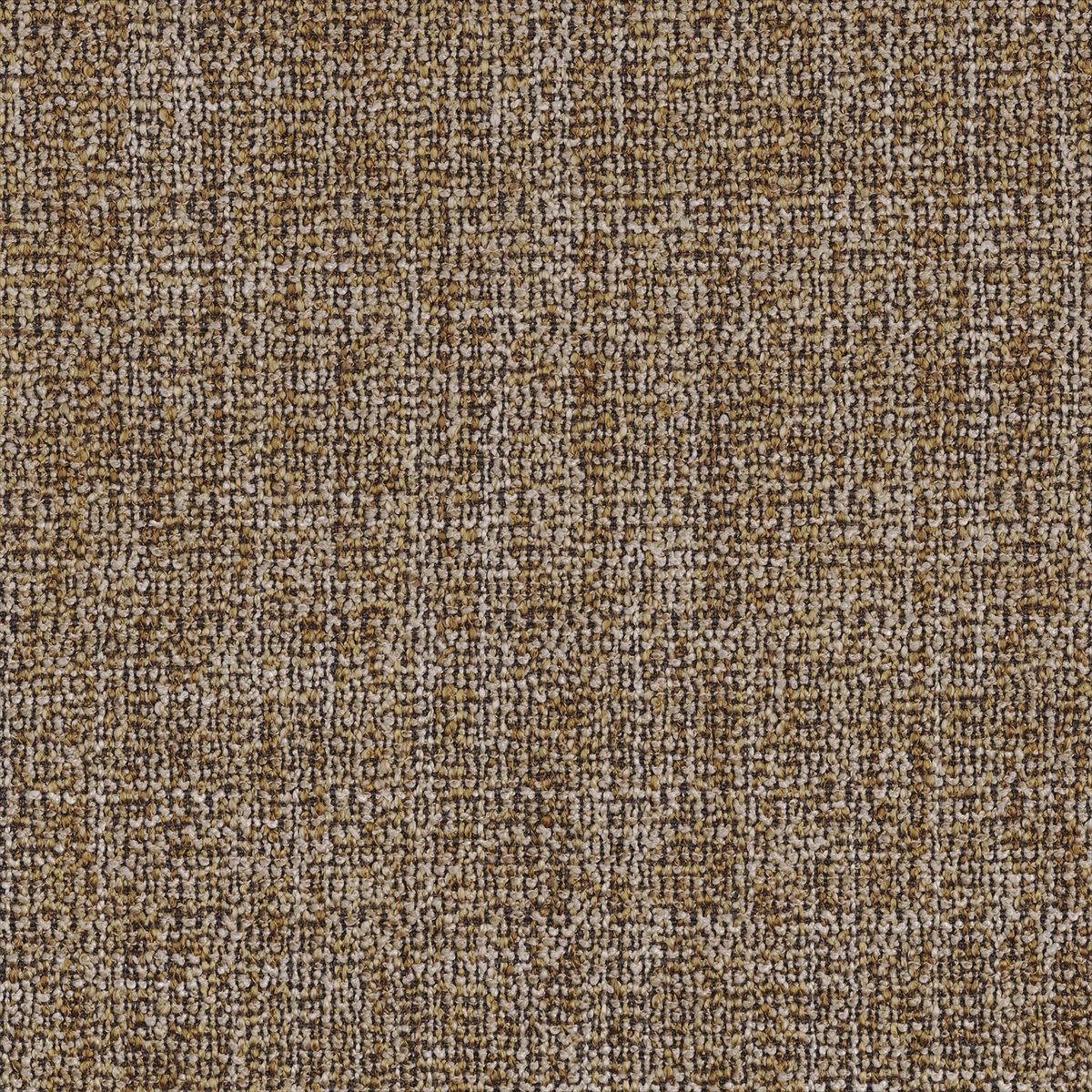 Alma 4388 02 55