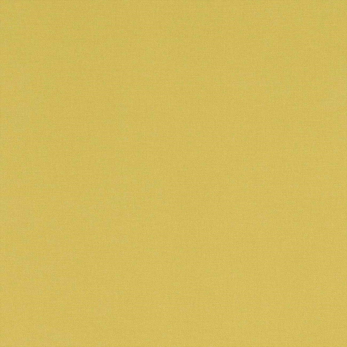Alora F1097-06