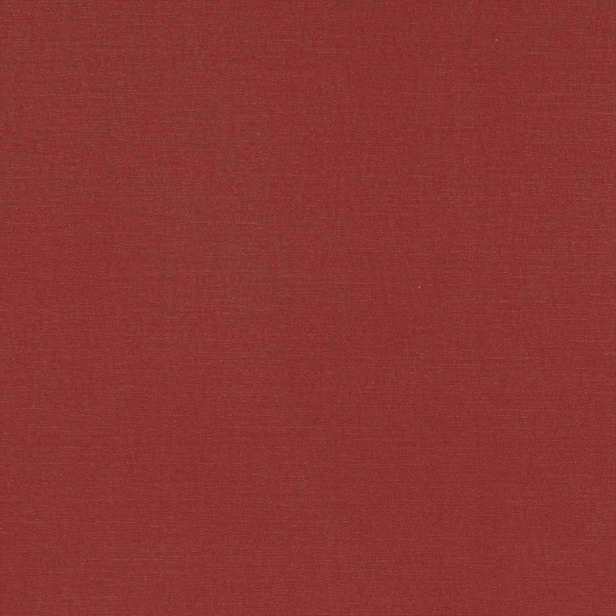 Alora F1097-17
