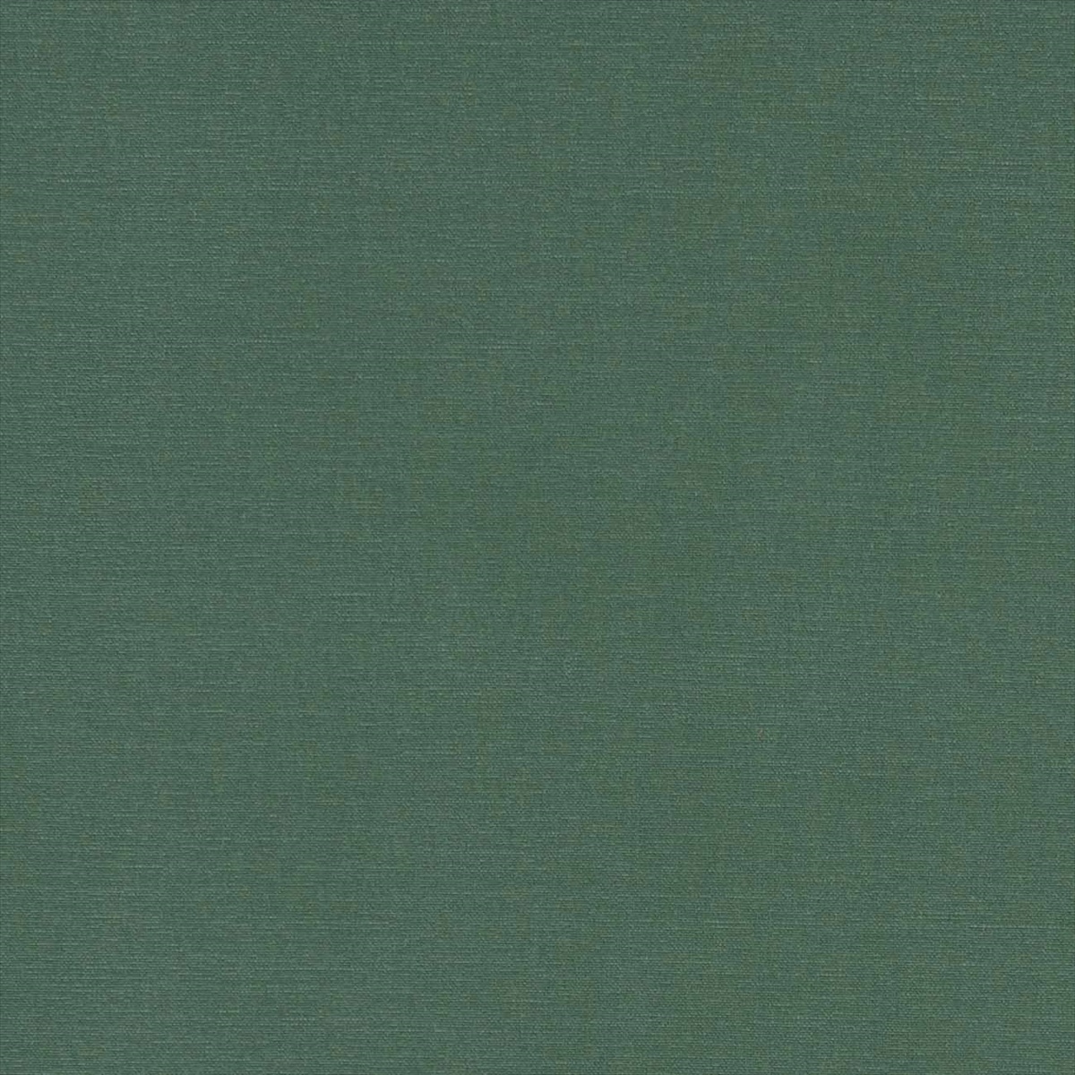 Alora F1097-19