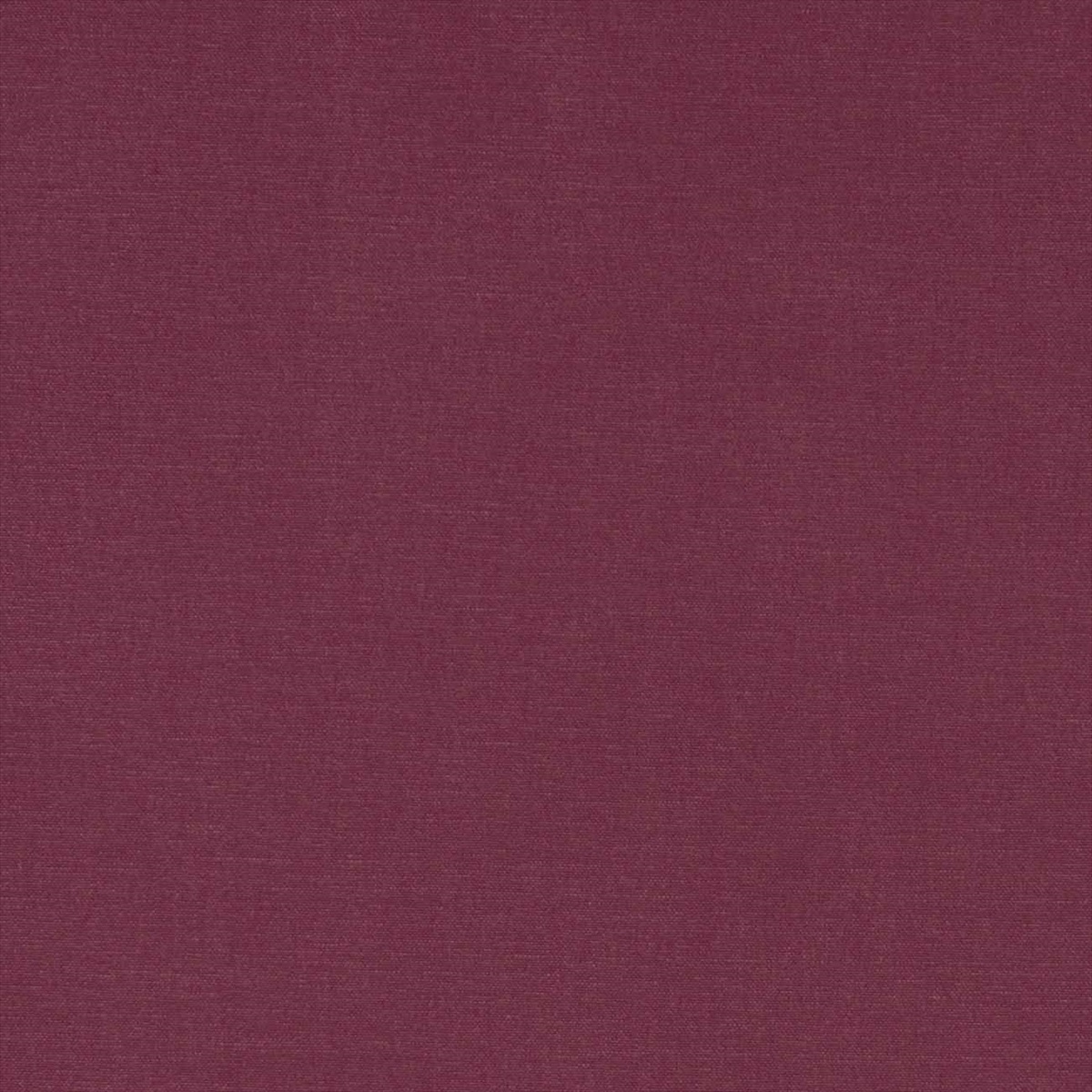 Alora F1097-21