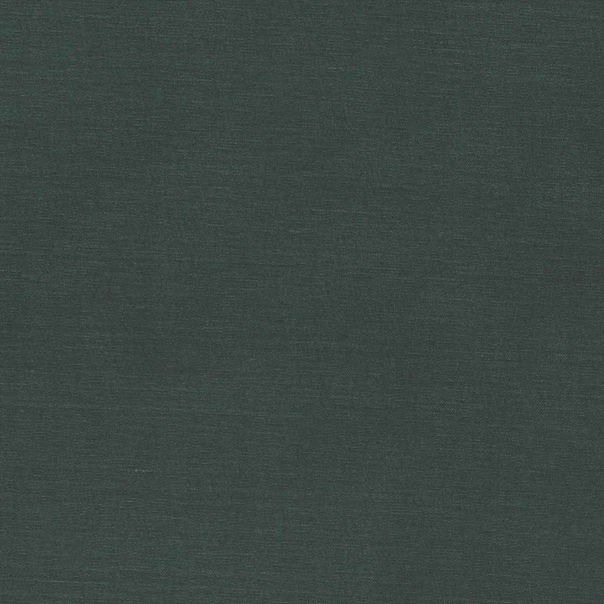 Alora F1097-24