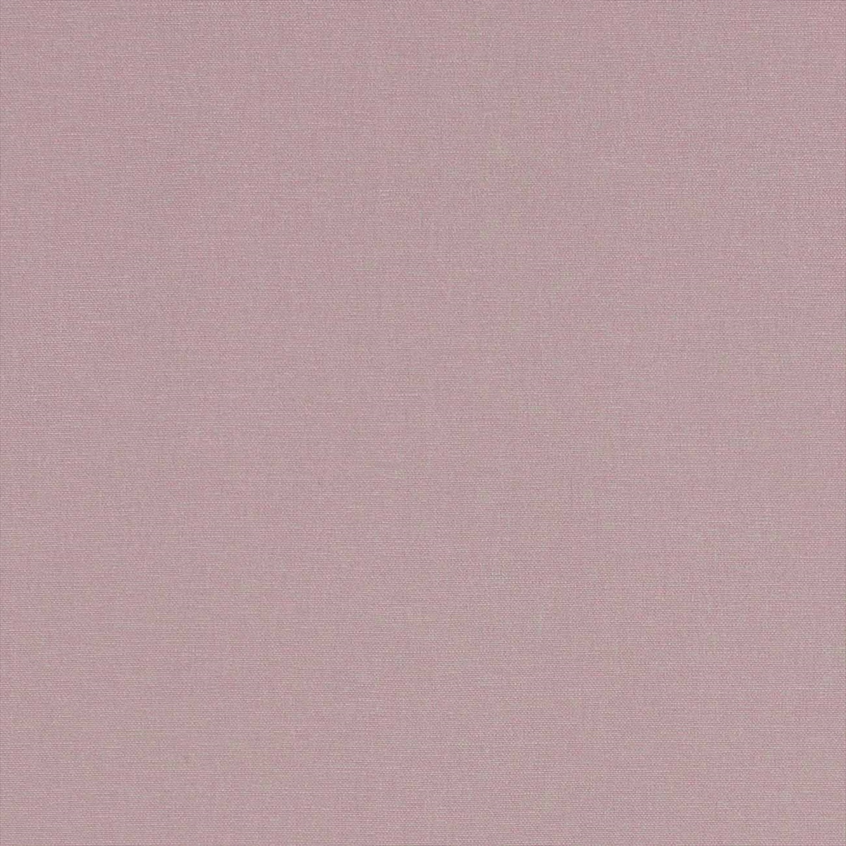 Alora F1097-25