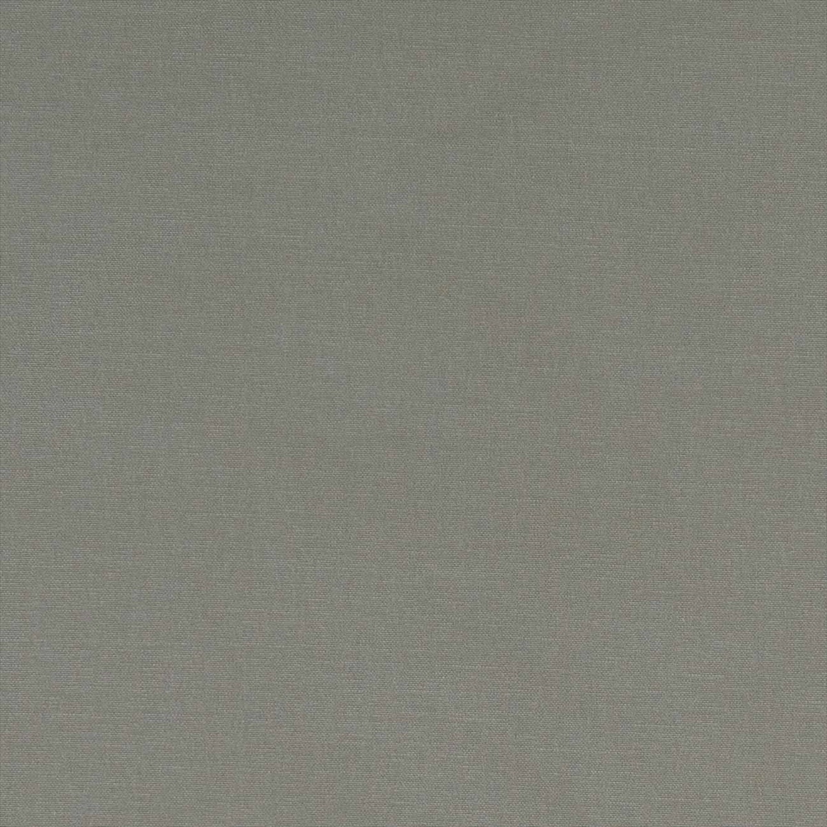 Alora F1097-38