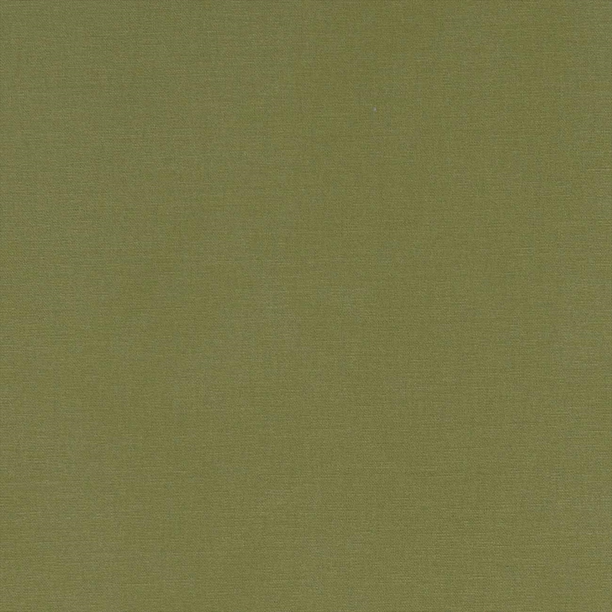 Alora F1097-41