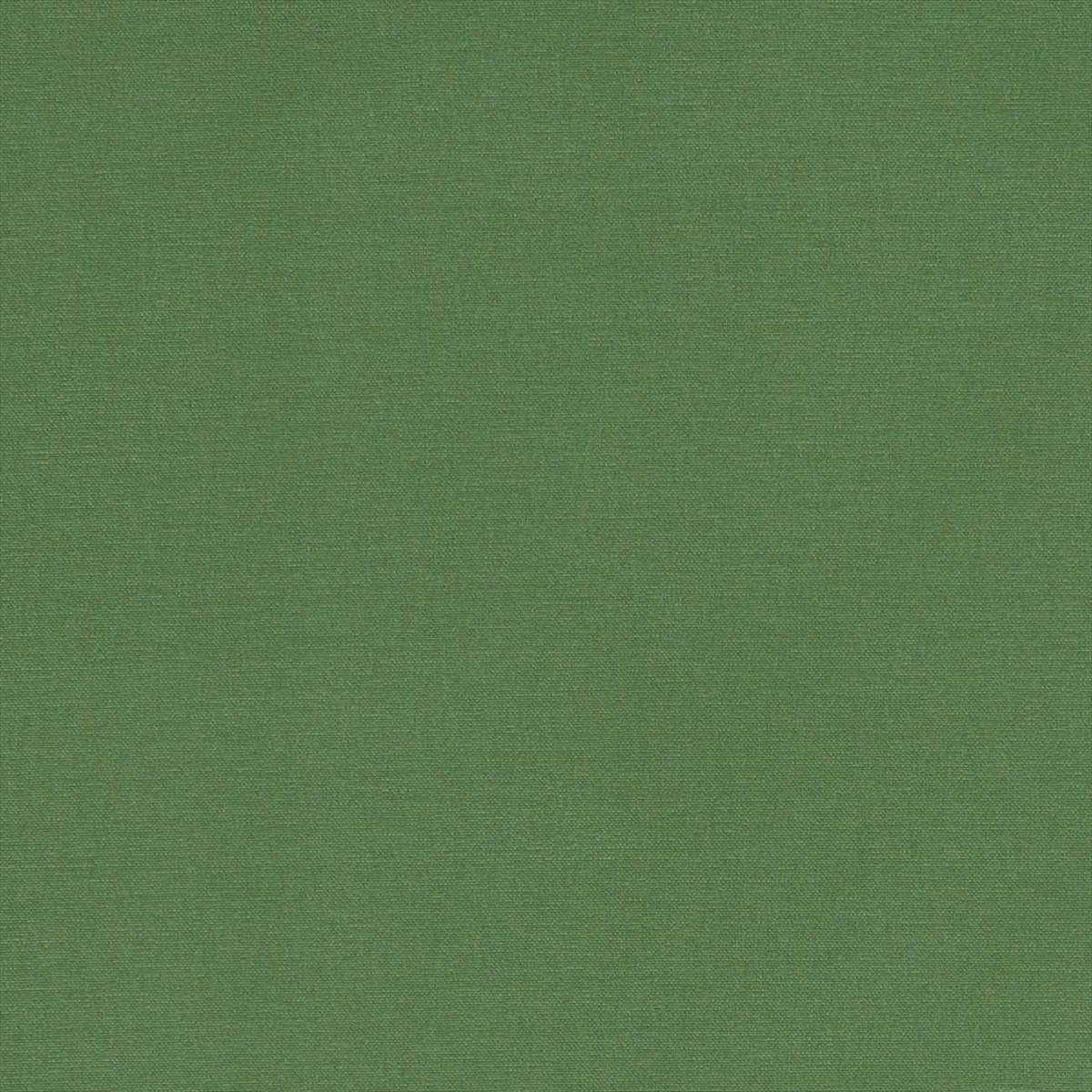 Alora F1097-43
