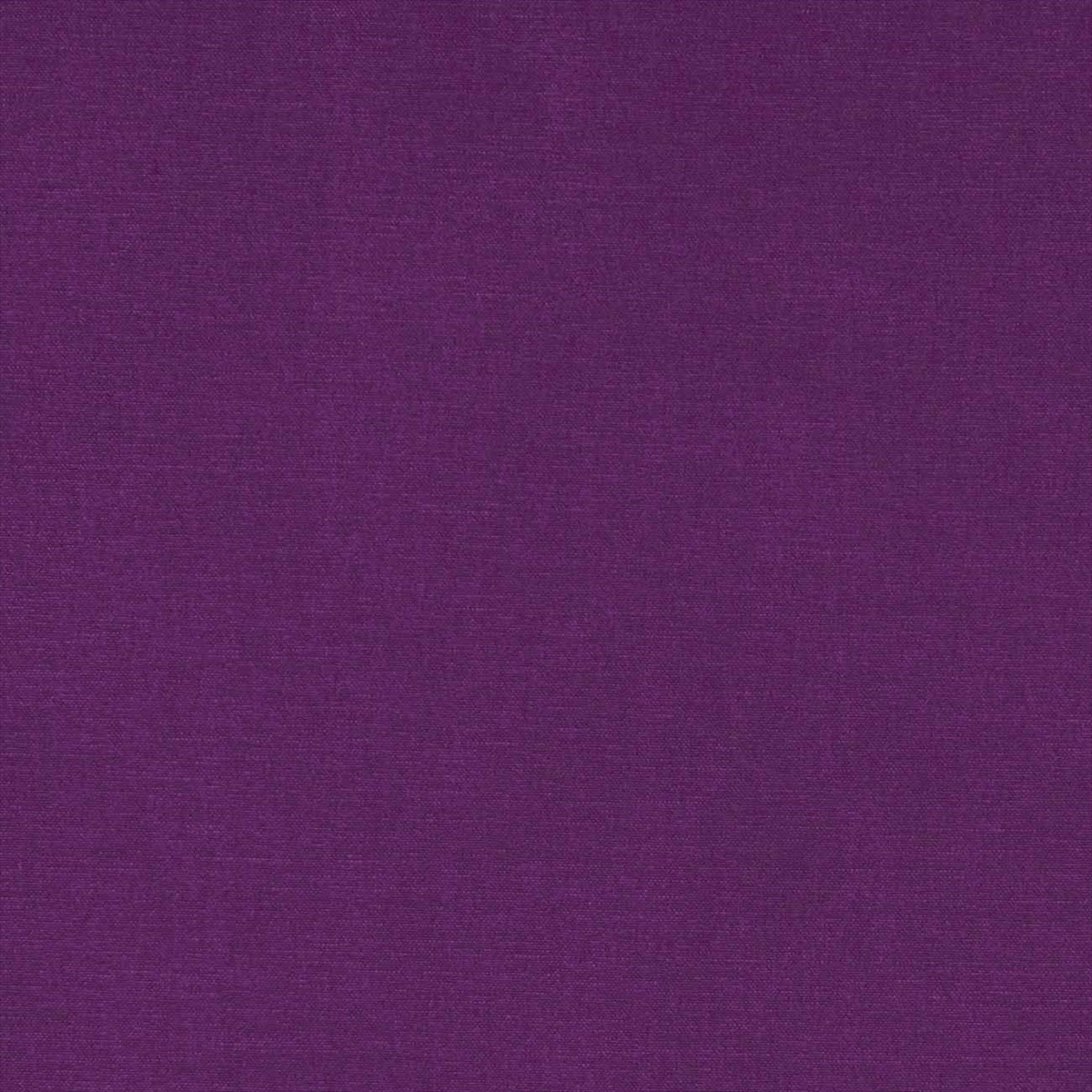 Alora F1097-51