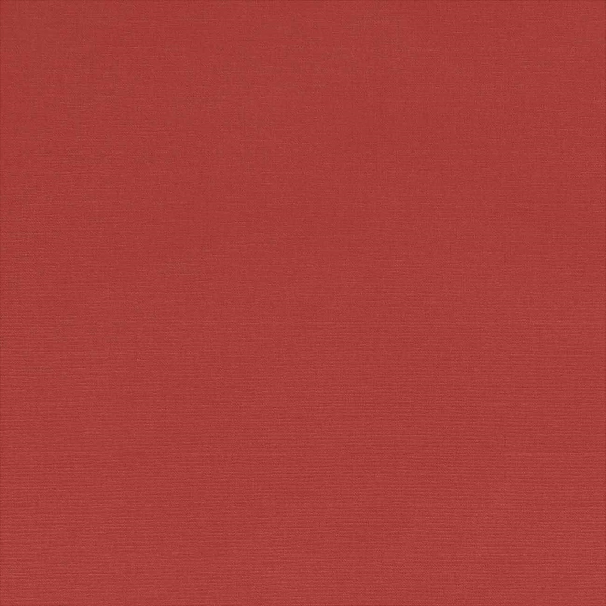 Alora F1097-53