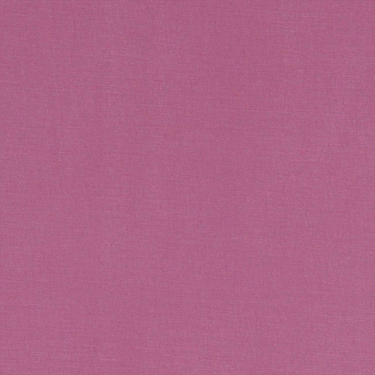 Alora F1097-59