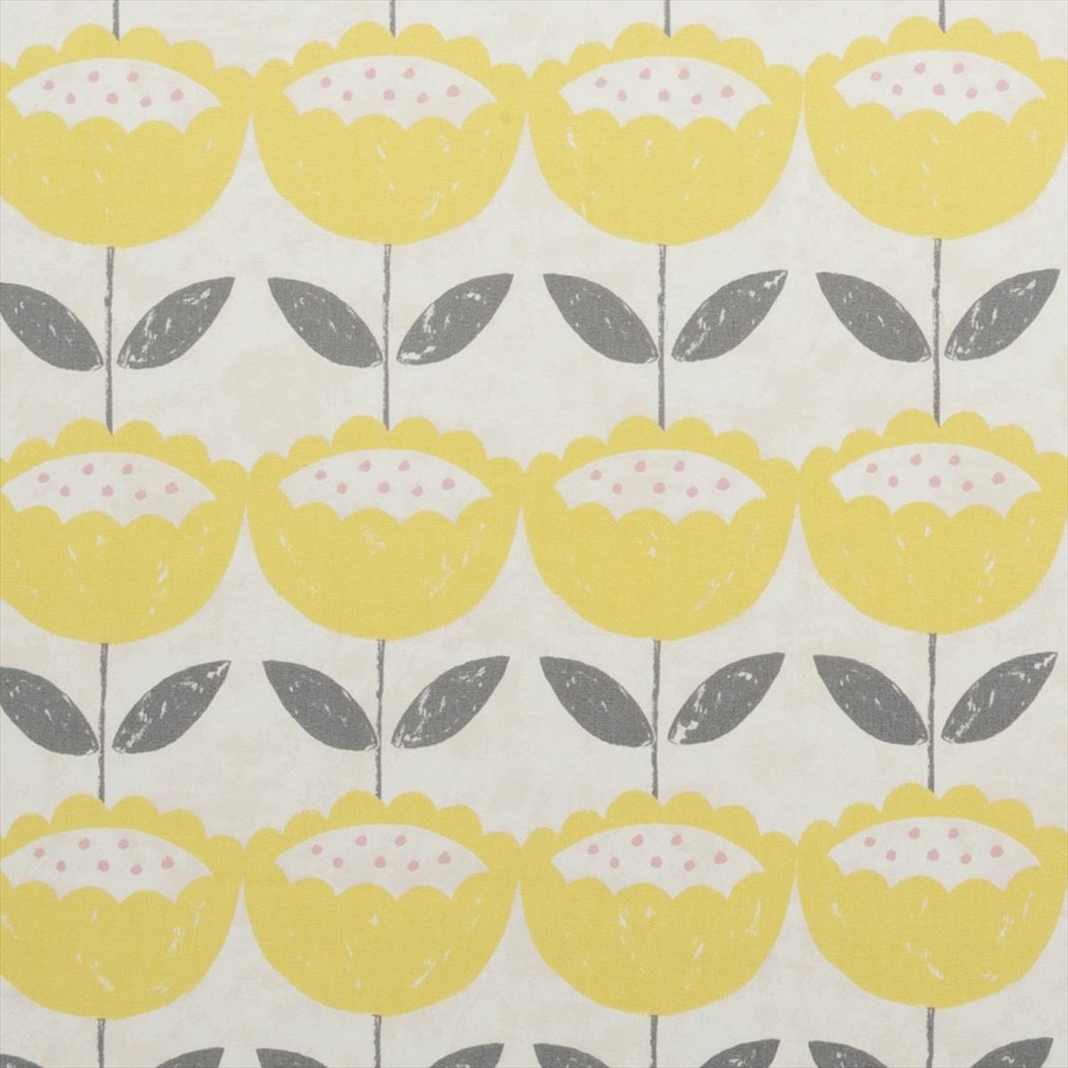Anais Citrus F0588-02