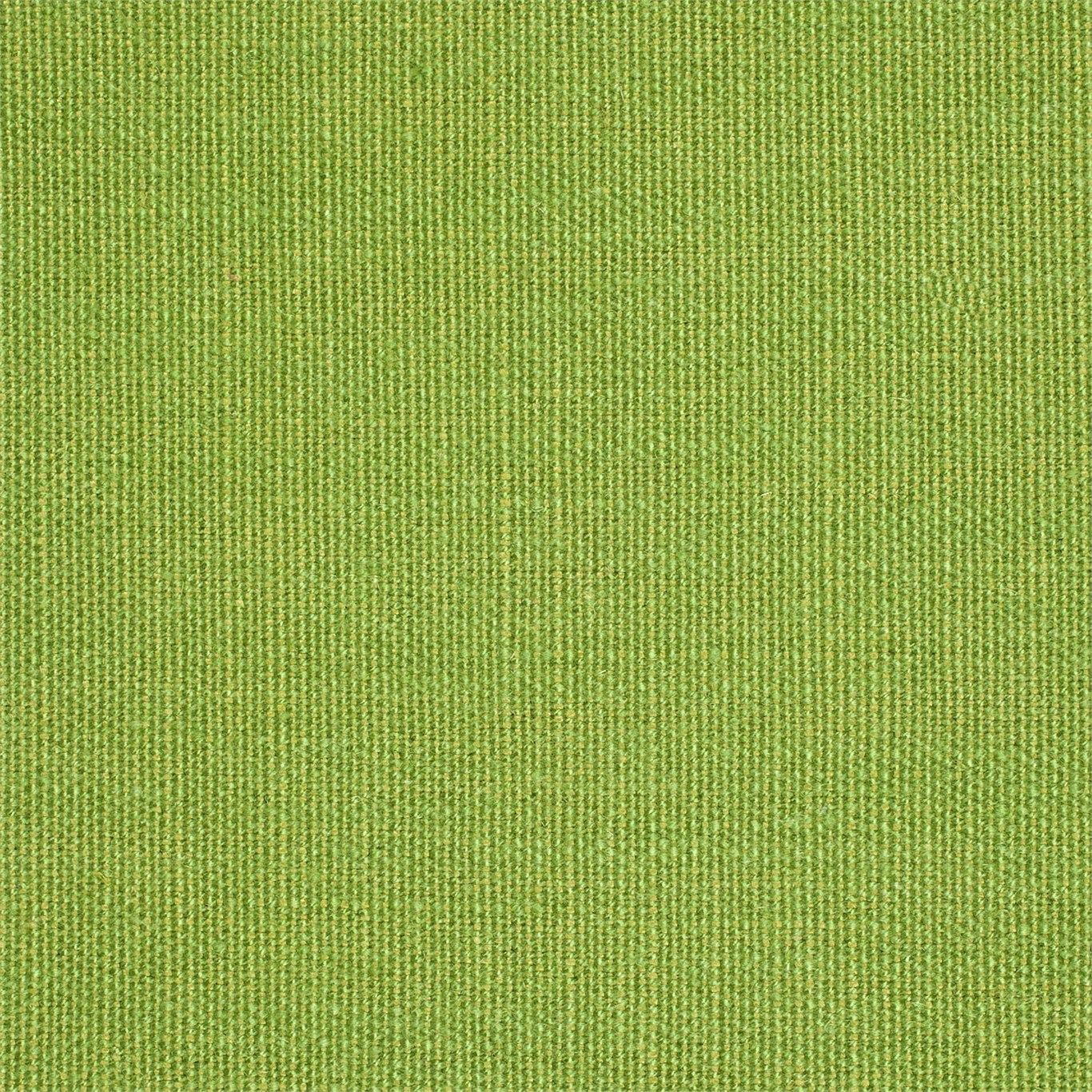 Apple Plains One 130477
