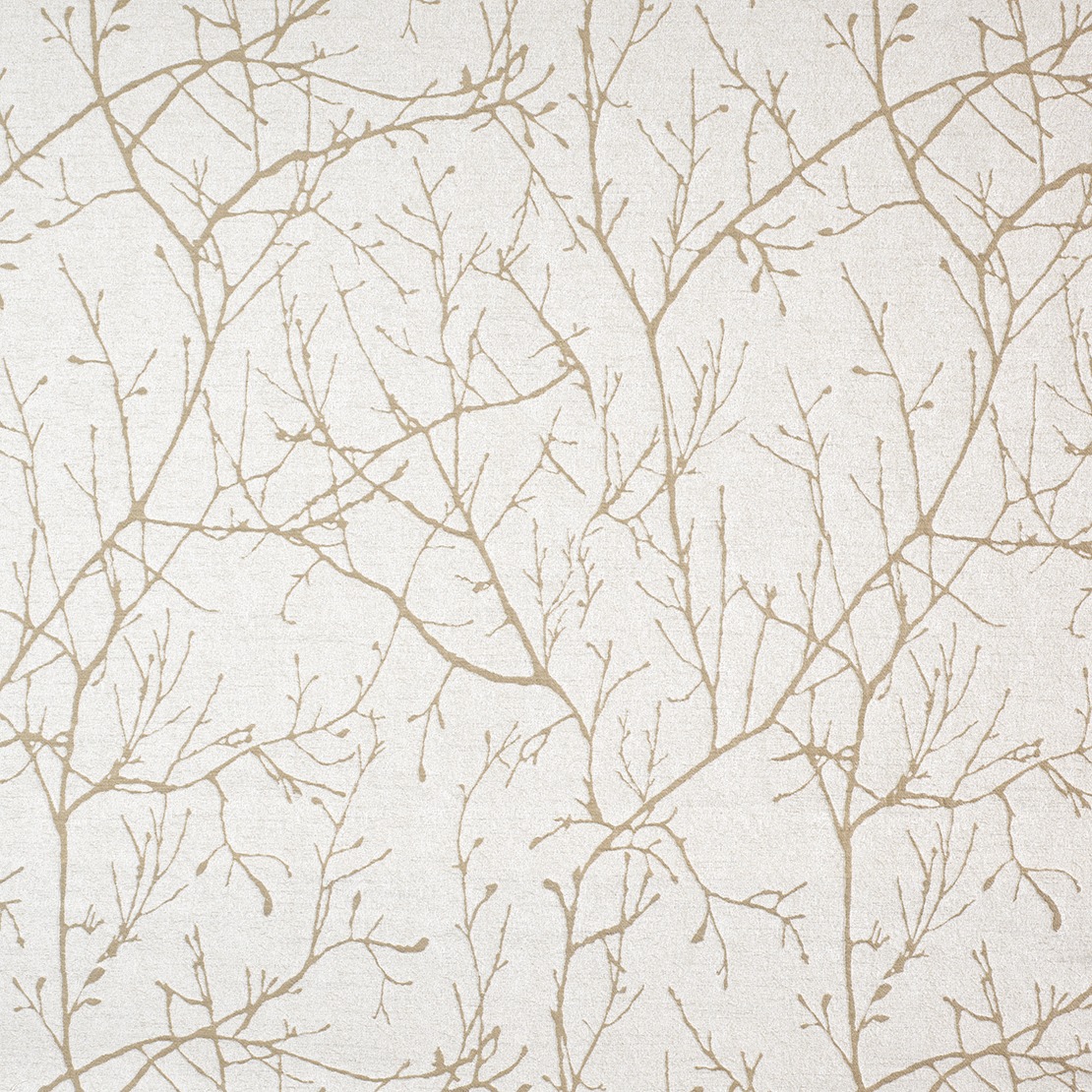 Arbre OHIS 8148 12 10