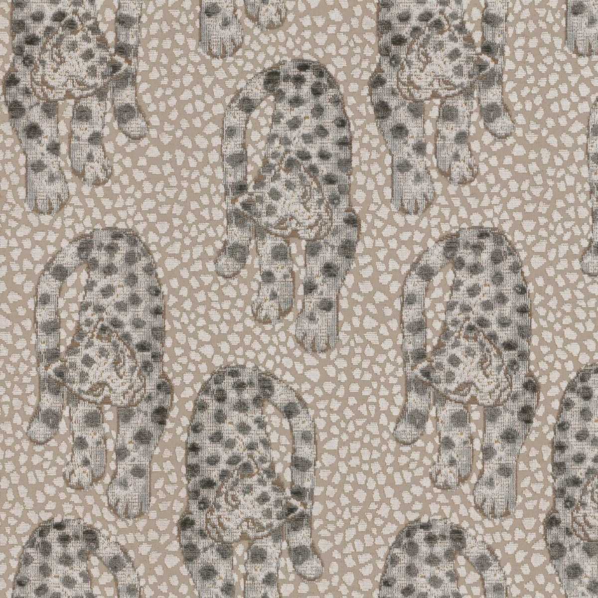 Leopardo 15511985