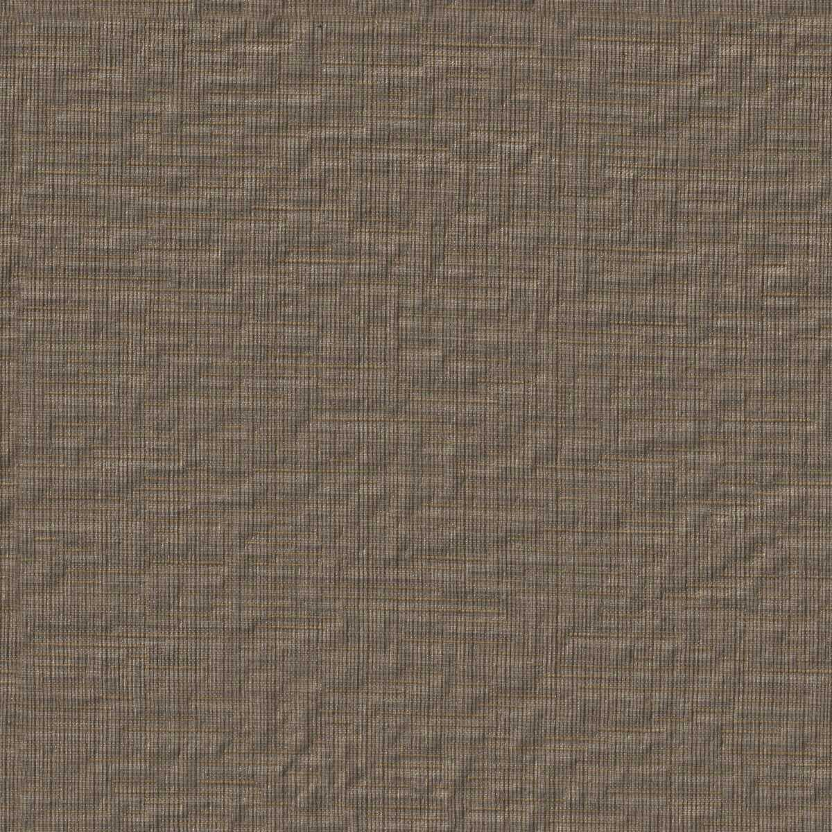 Petra 15510885