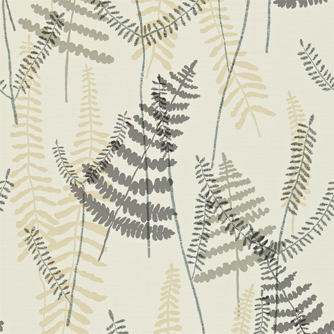 Athyrium 110212