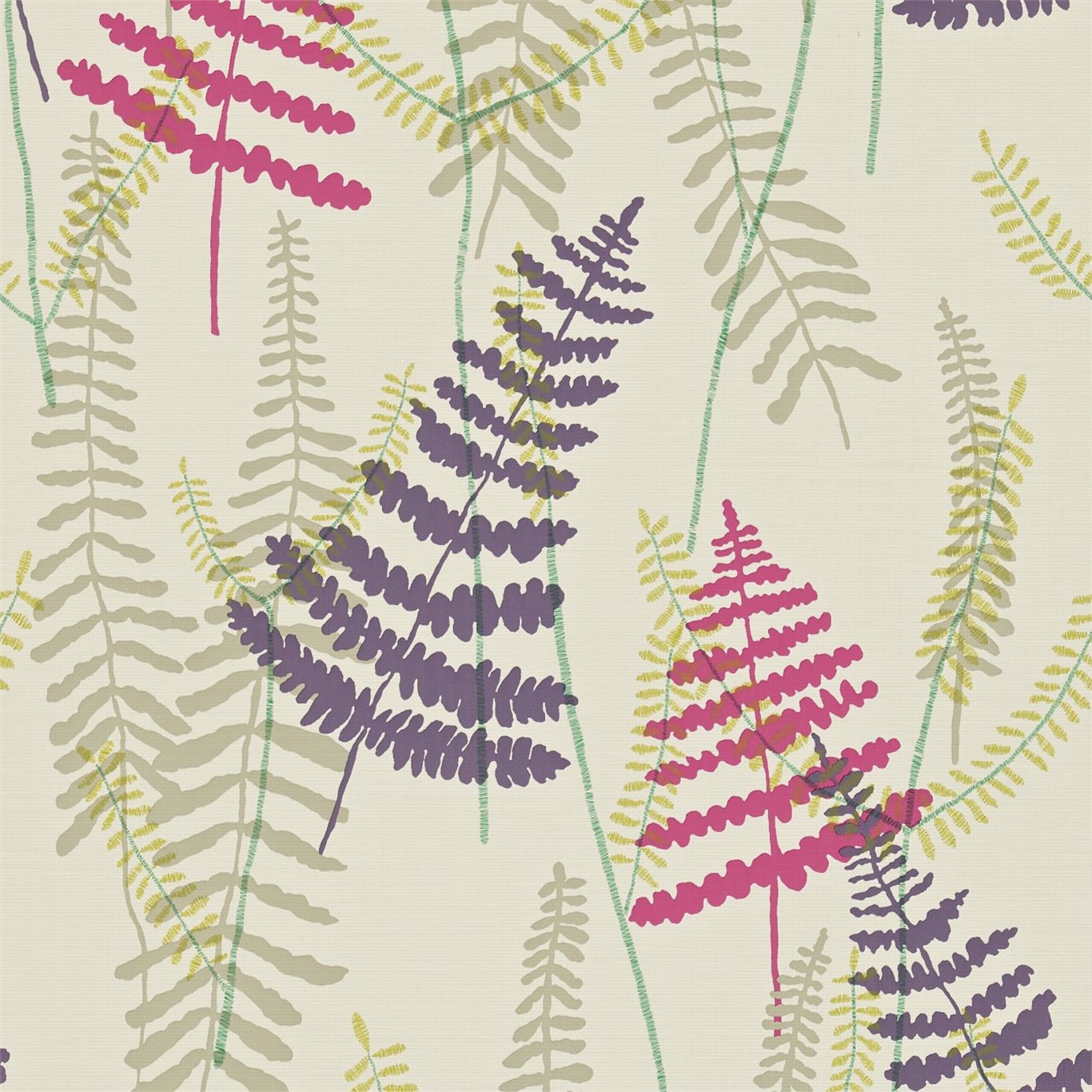 Athyrium 110214