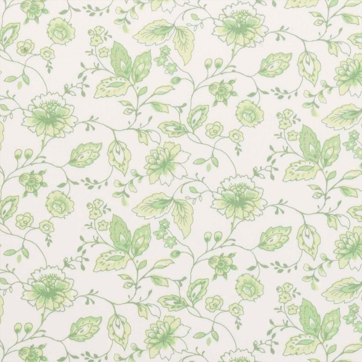 Avril Apple F0444-01