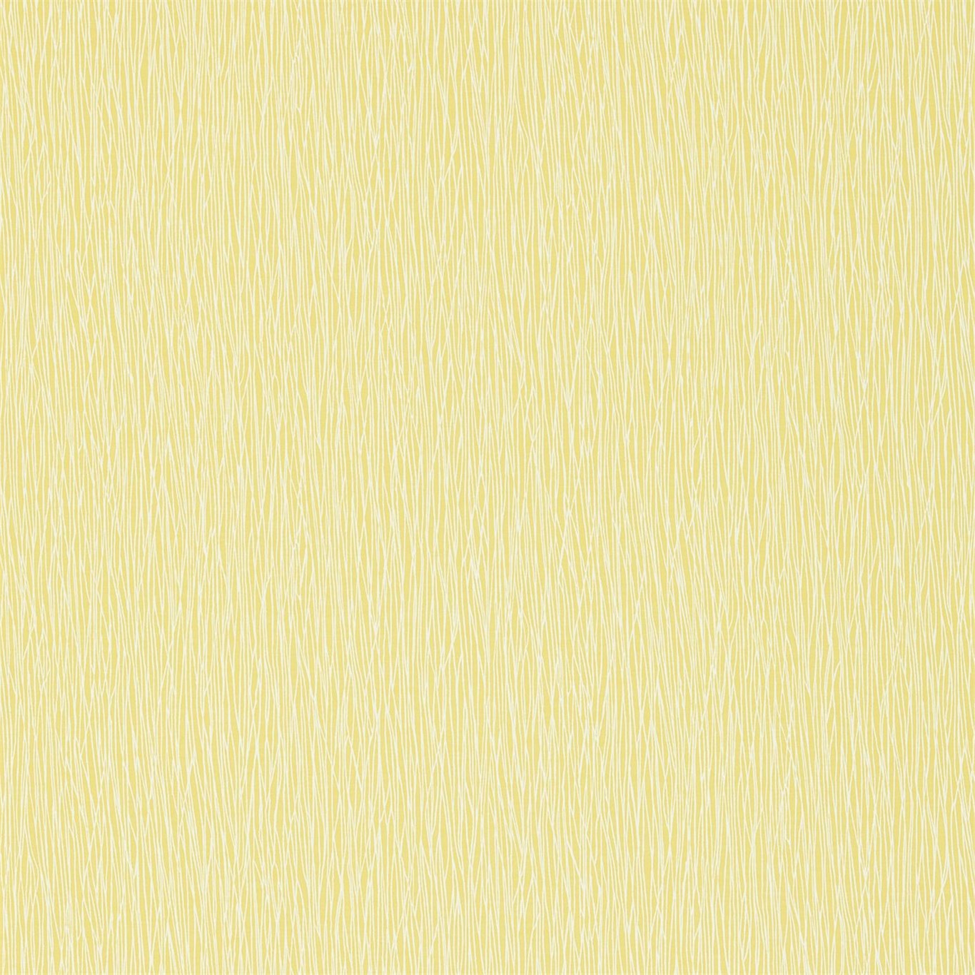 Bark 110265