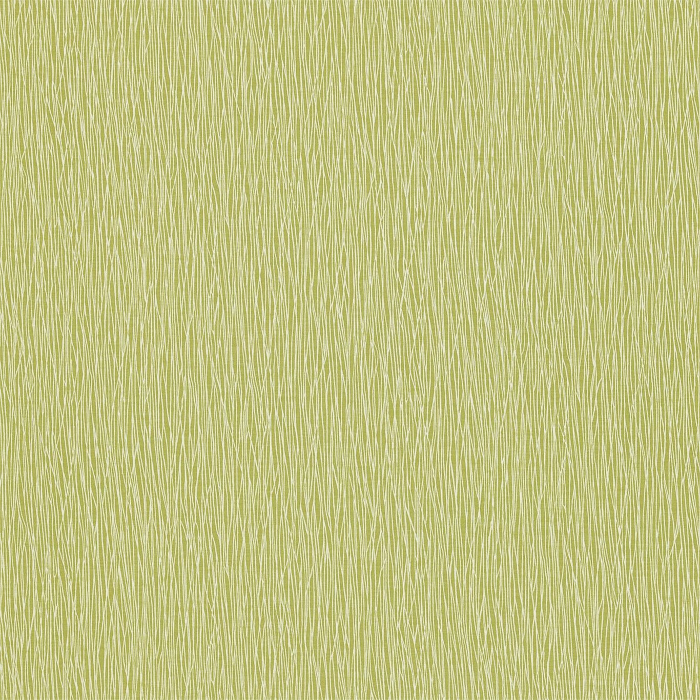 Bark 110267