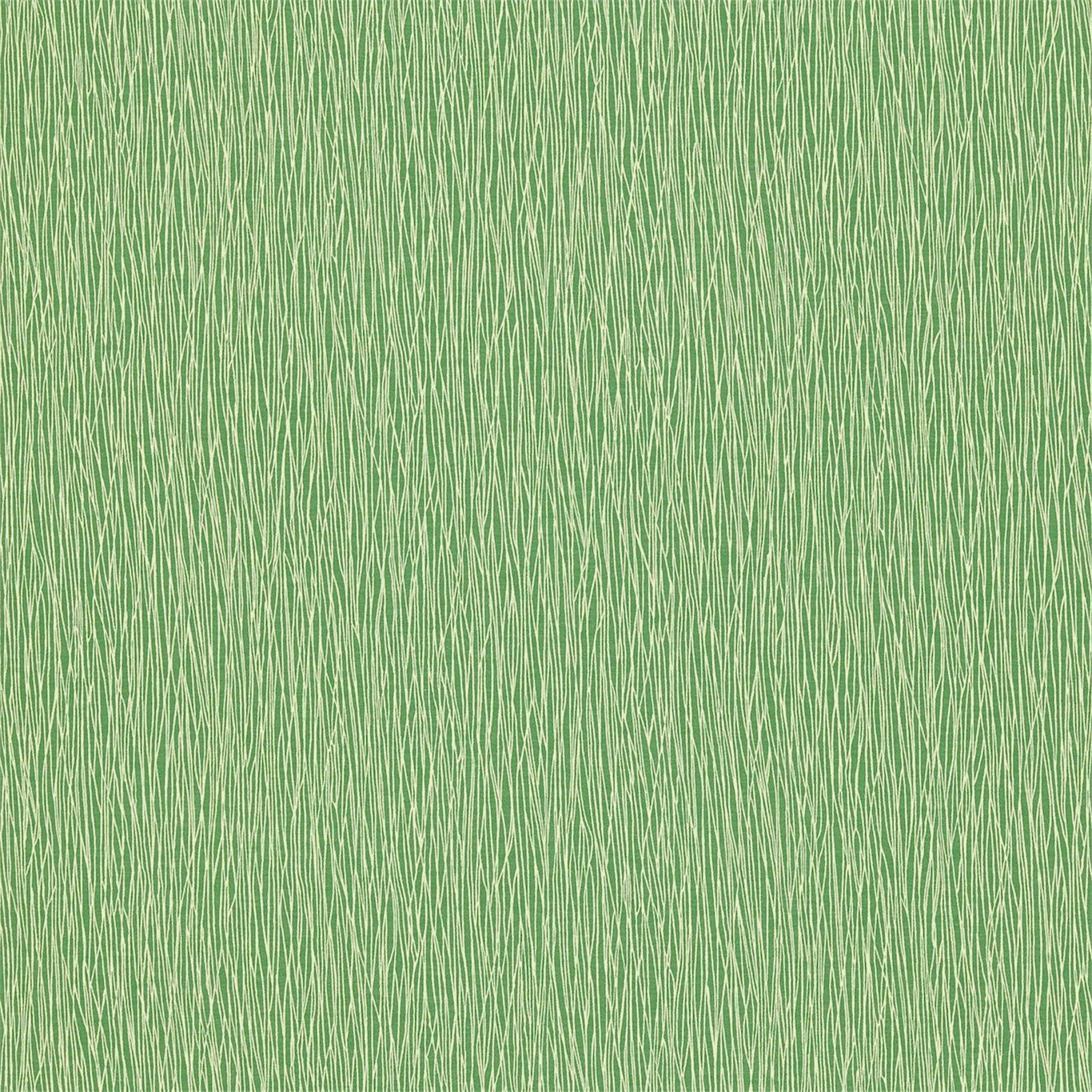 Bark 110268