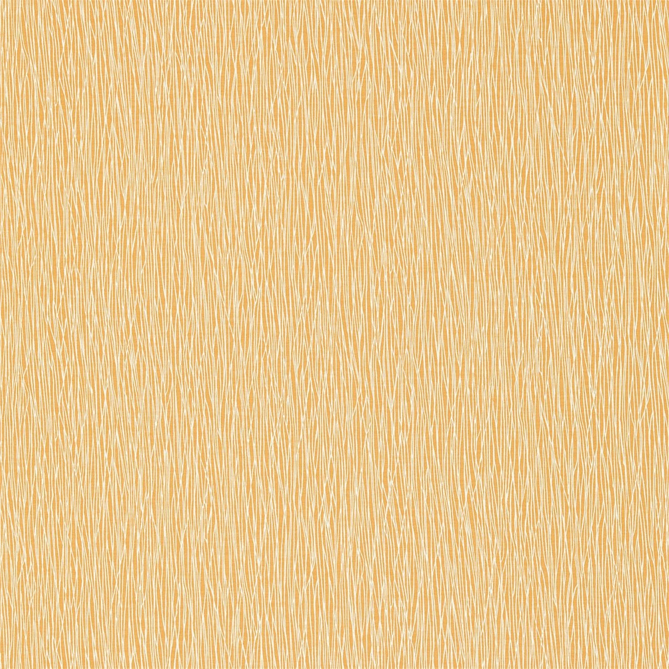 Bark 110269