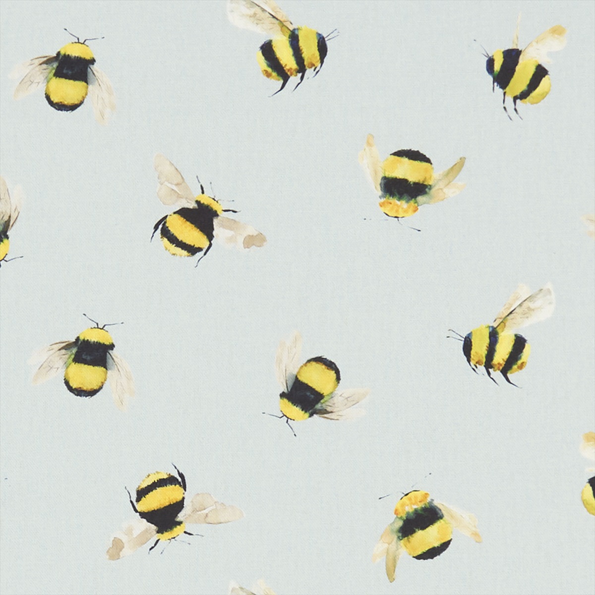 Bees F1255-01