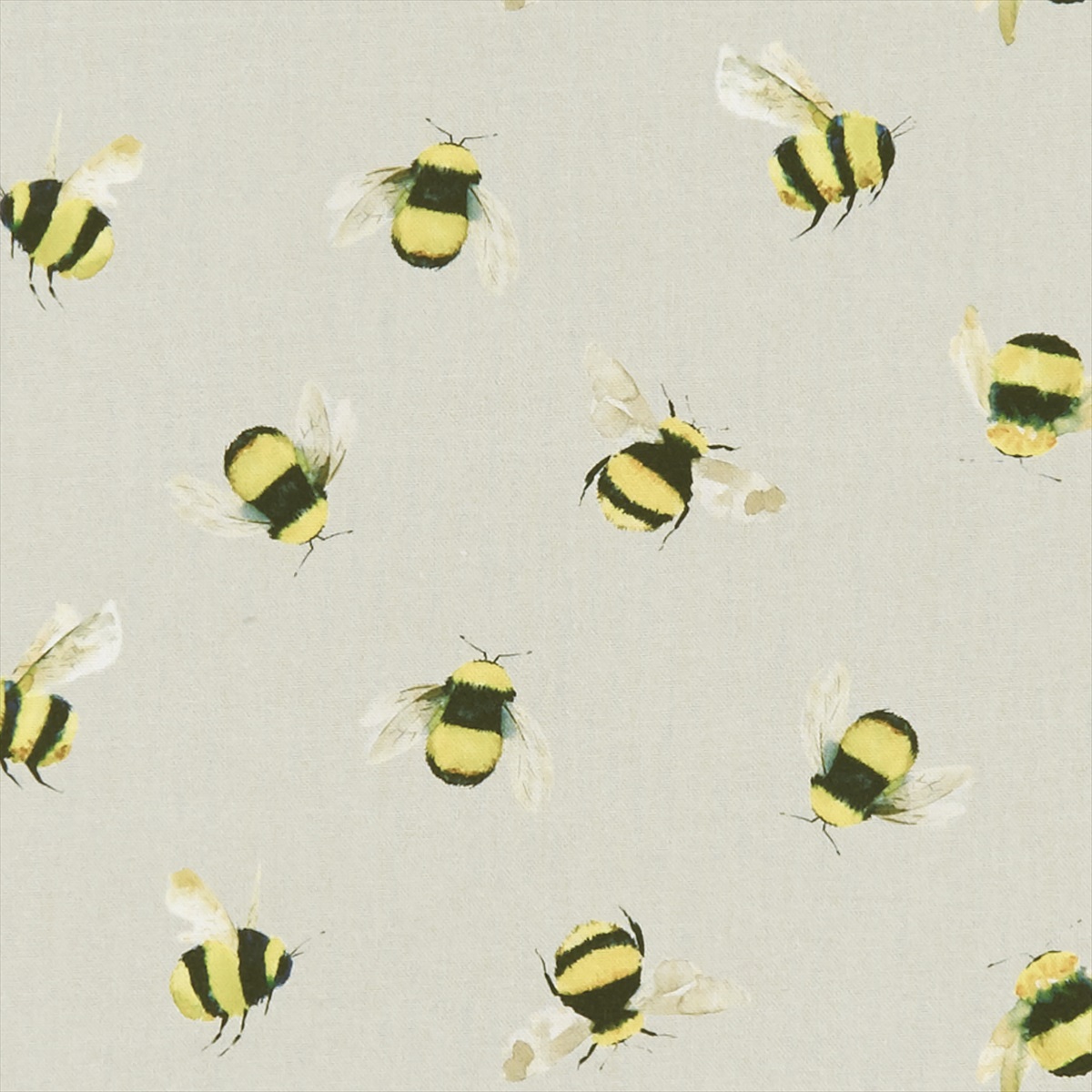 Bees F1255-02