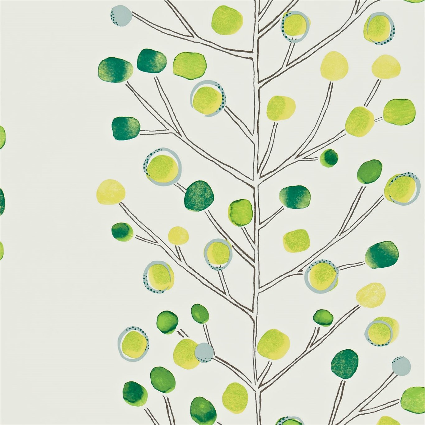Berry Tree 110206