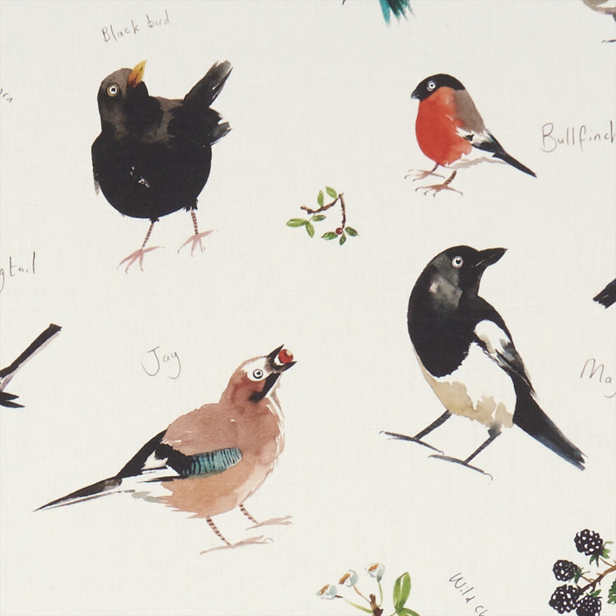 Bird Watch F1257-01