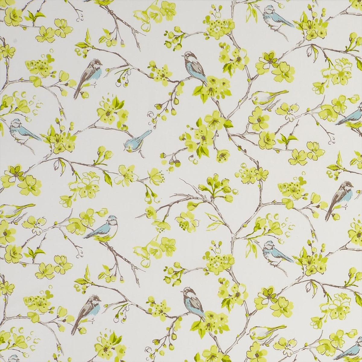 Birdies Citrus F0837-01