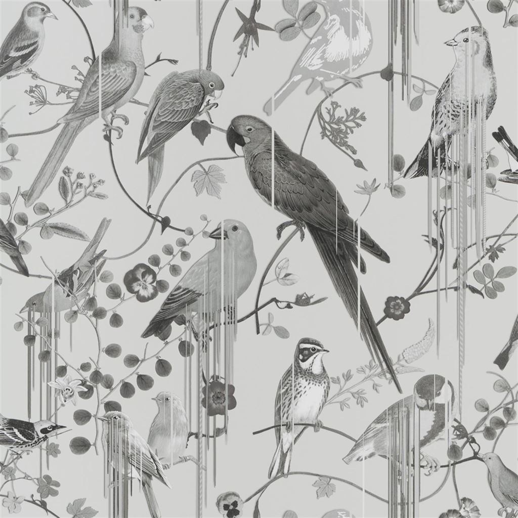 Birds Sinfonia Graphite PCL7017-08