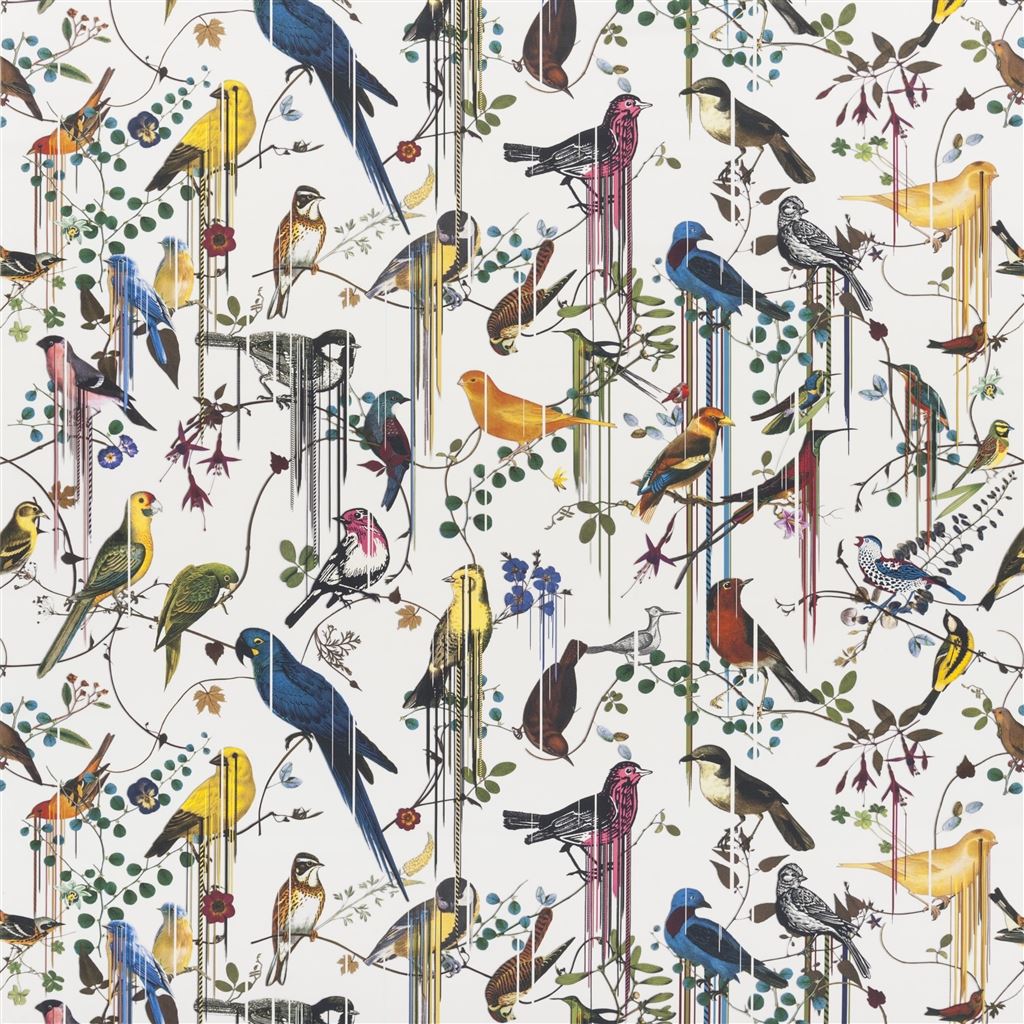 Birds Sinfonia Perce neige FCL7024-01