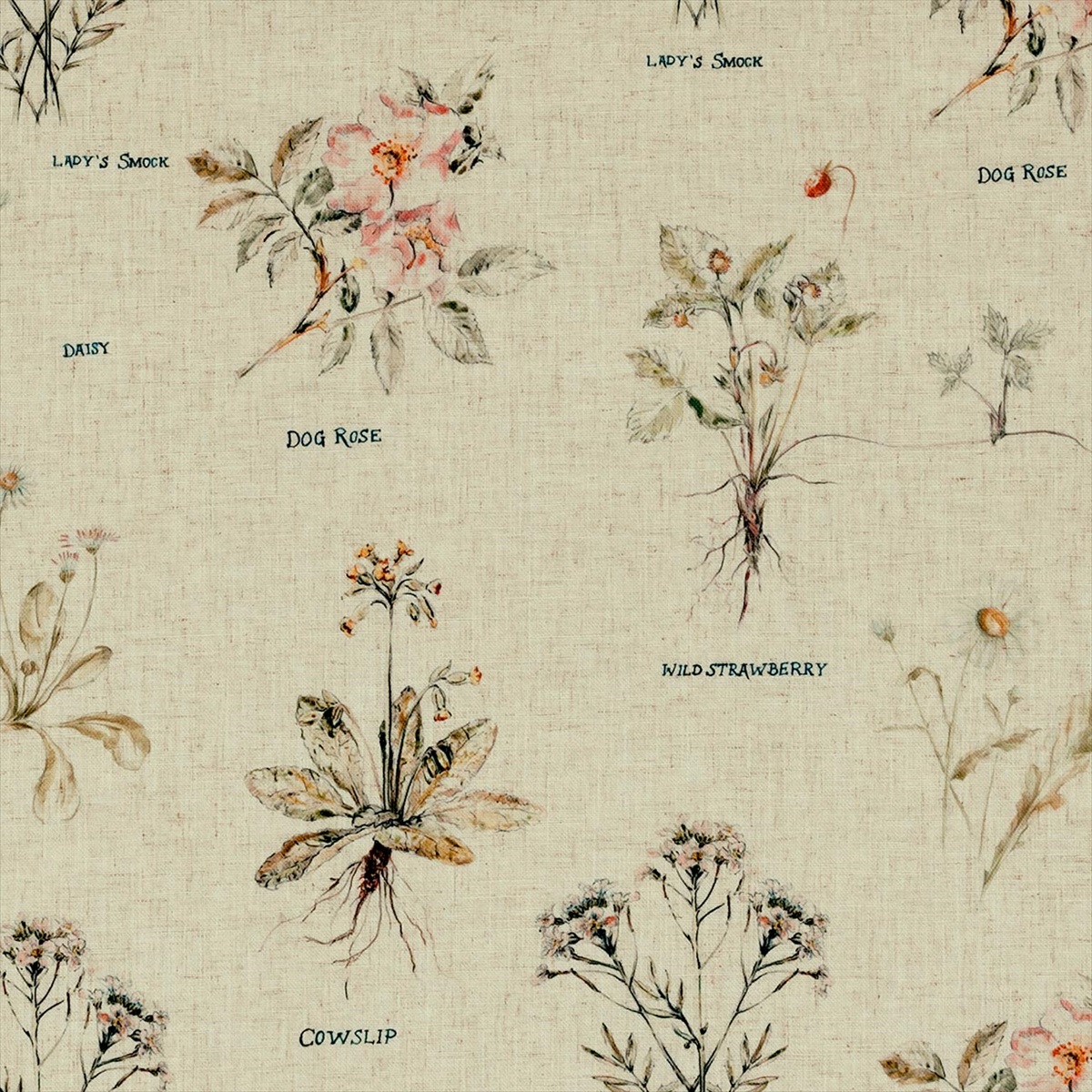 Botanist Linen F0865-01