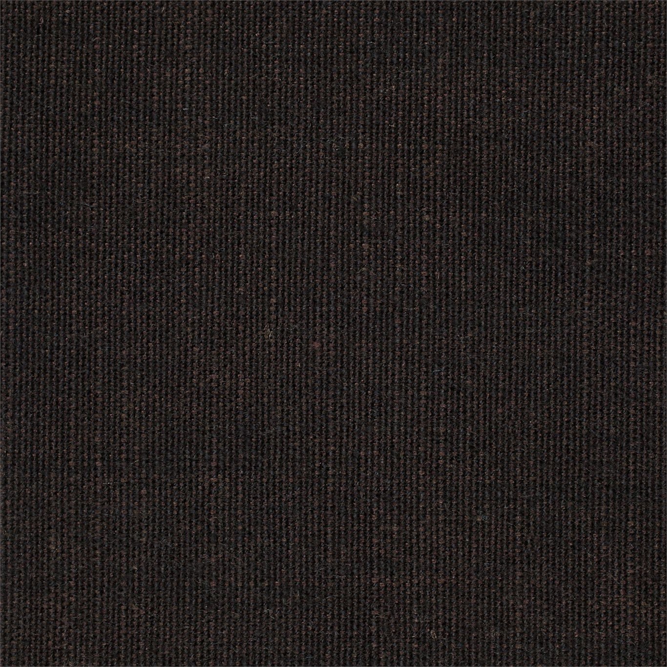 Brownie Plains One 130439