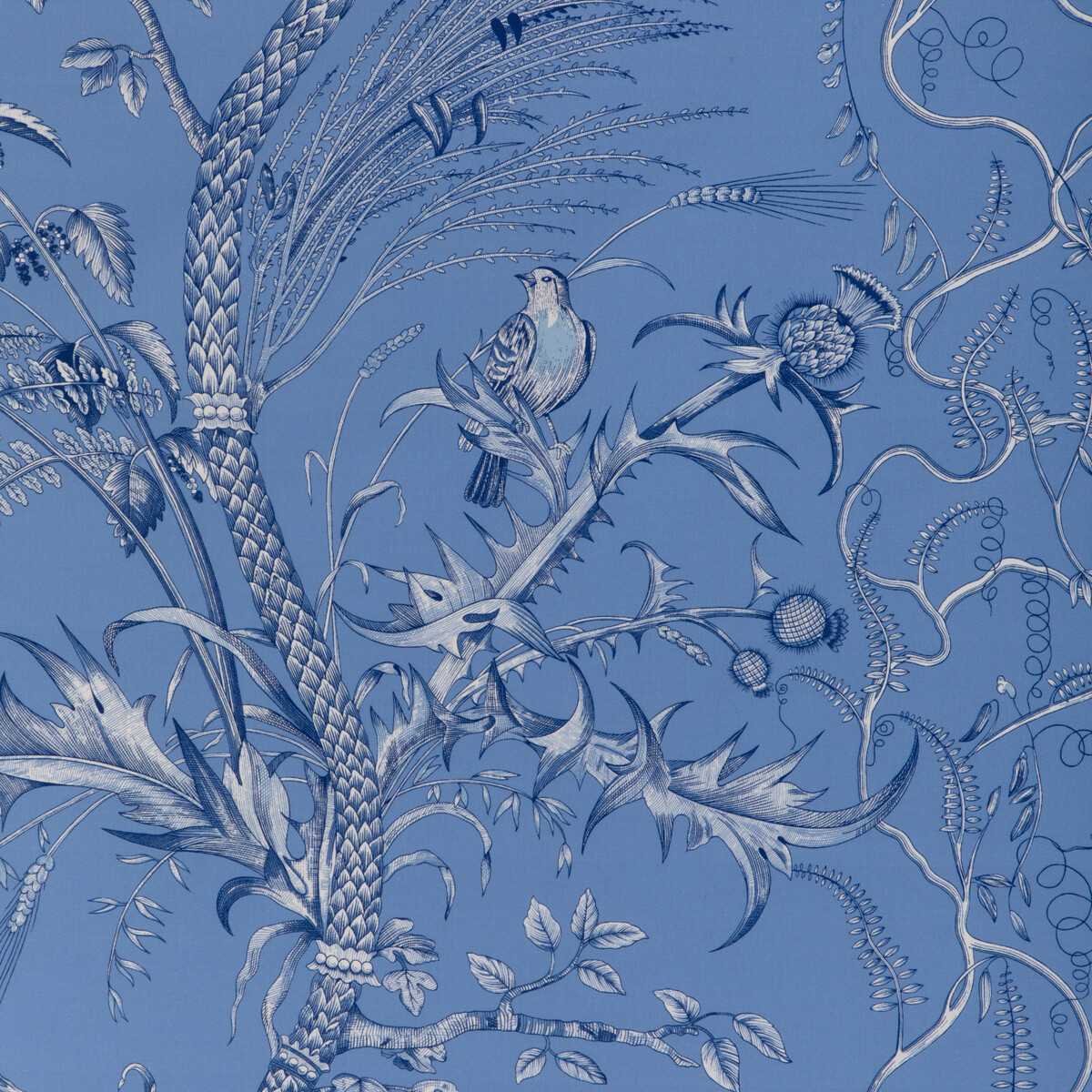 Bird And Thistle Ii 8024101-55