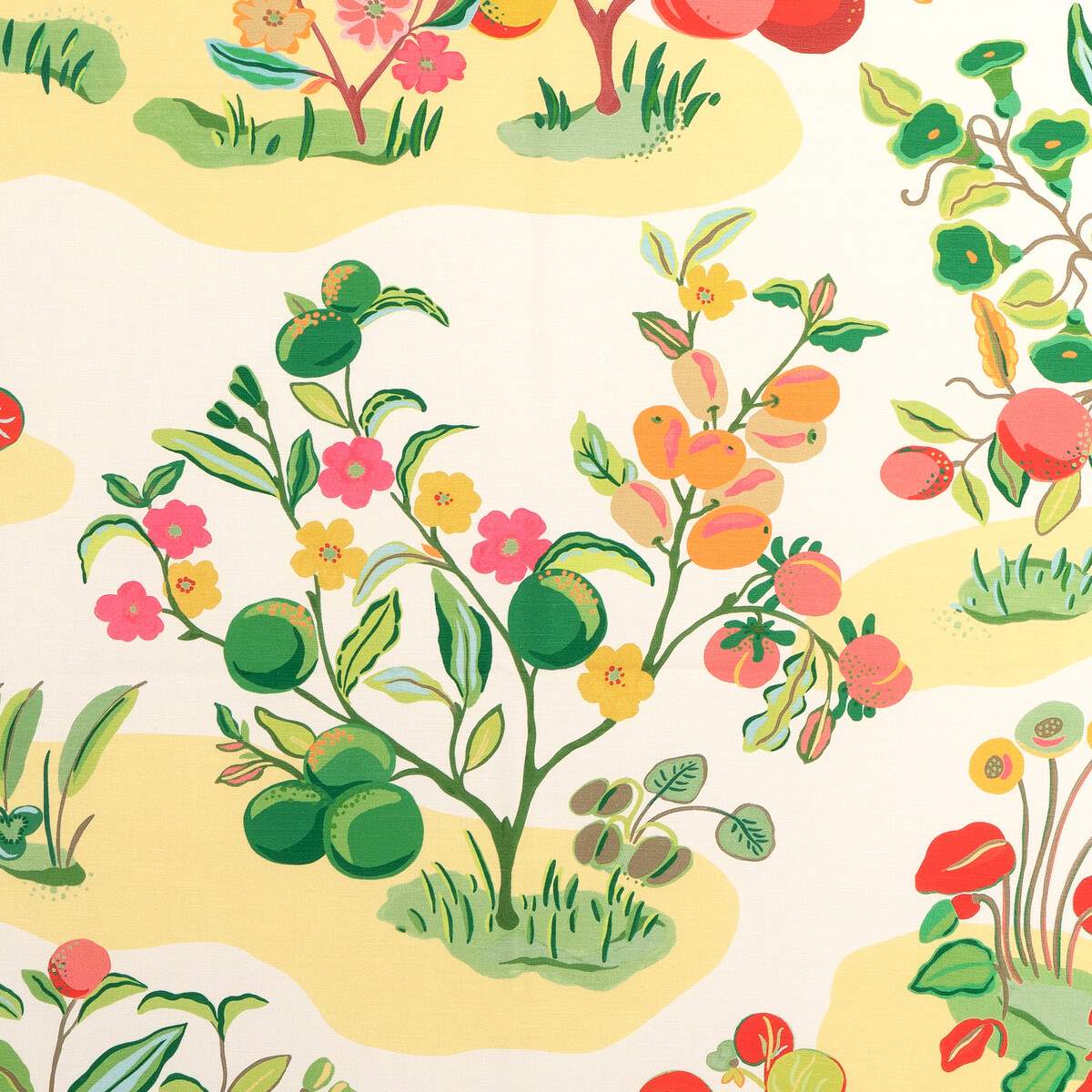 Pomelo Print 8024121-73