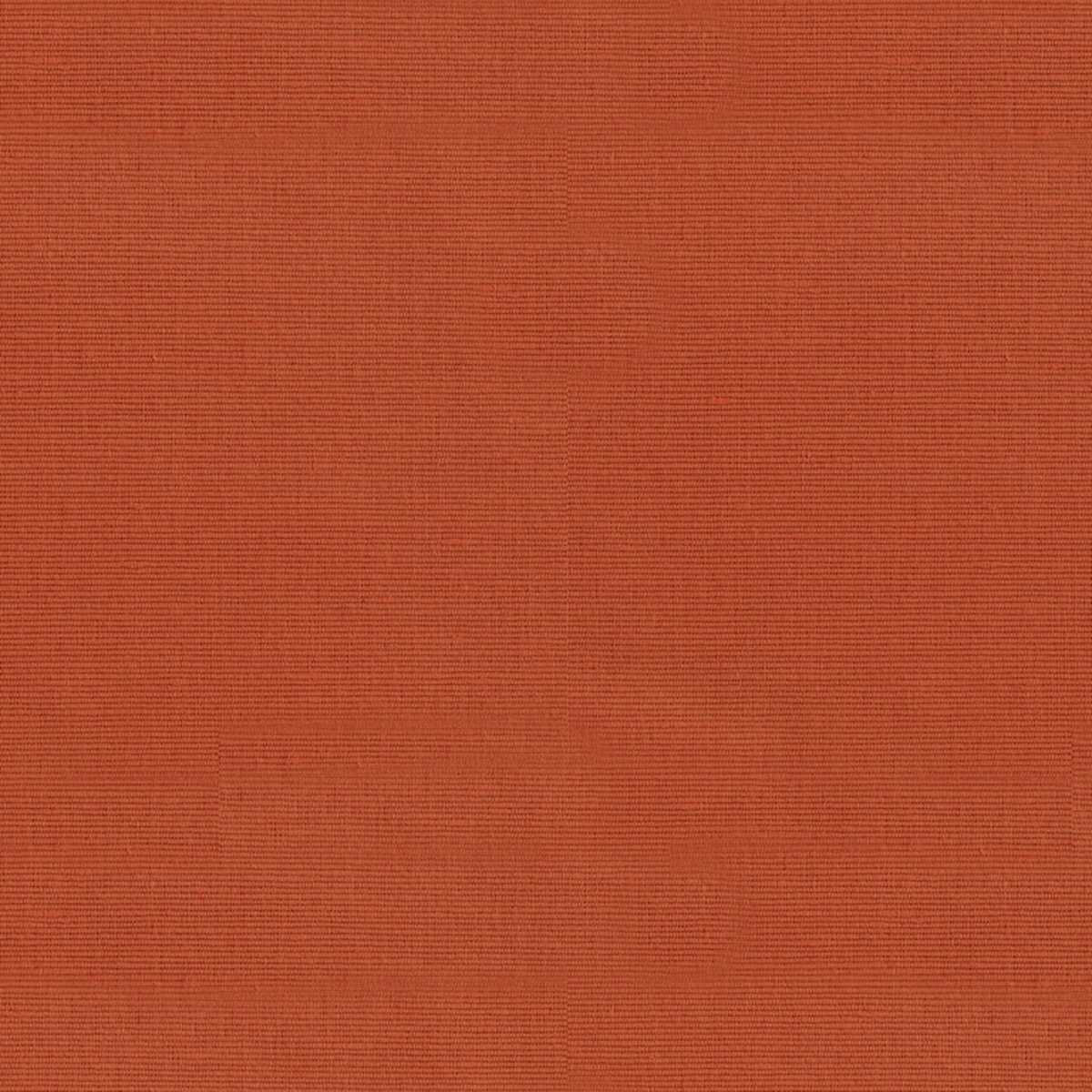 Zina Moire 8012112-24