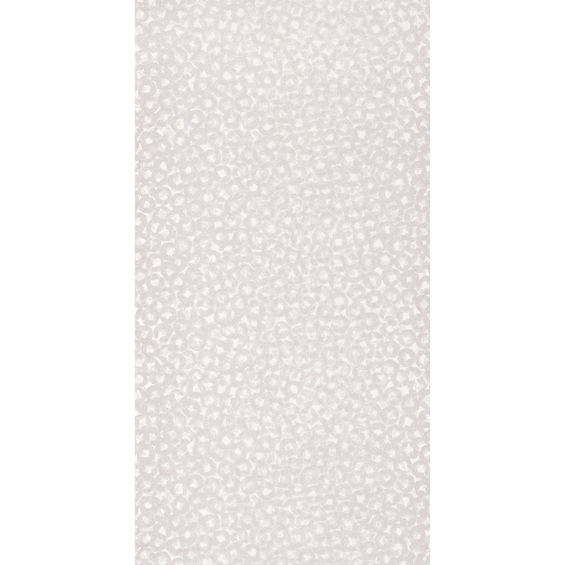 Bullae ENCC 8454 02 08