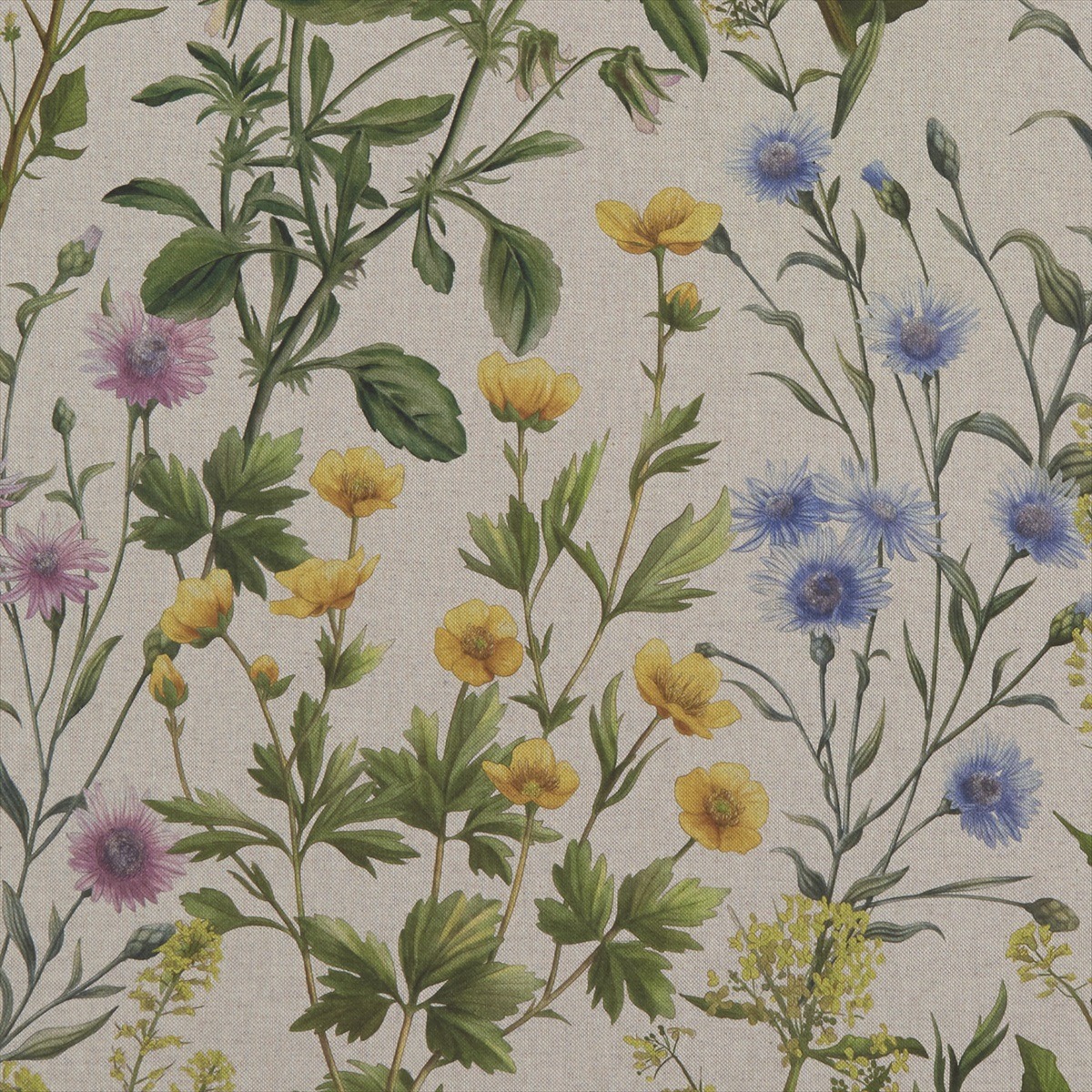 Buttercup Linen F1146-01