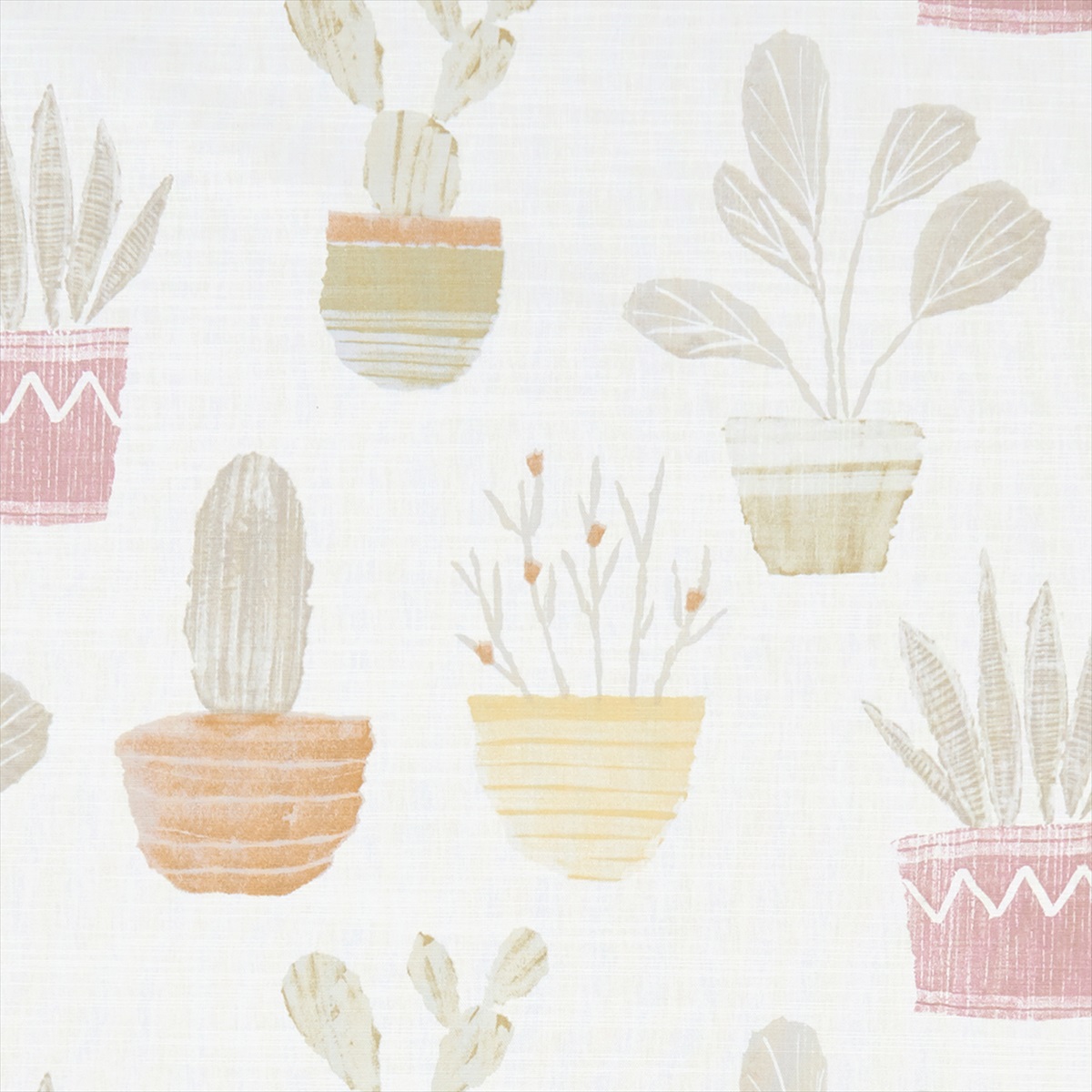 Cactus Spice F1233-05