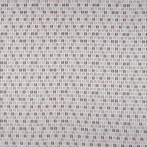 Calyx CAL 3479 03 14