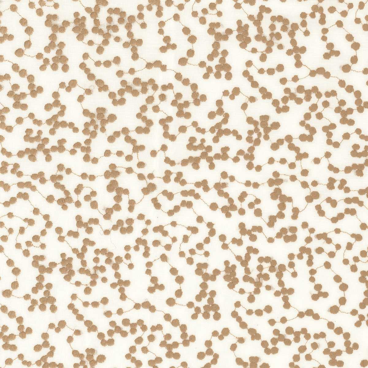 Aleora 48550541