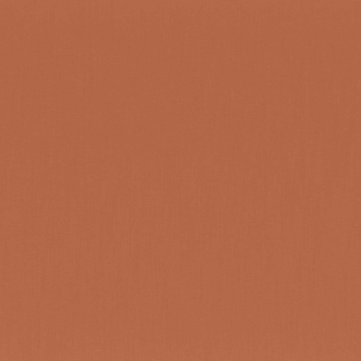 Anemone 50112792