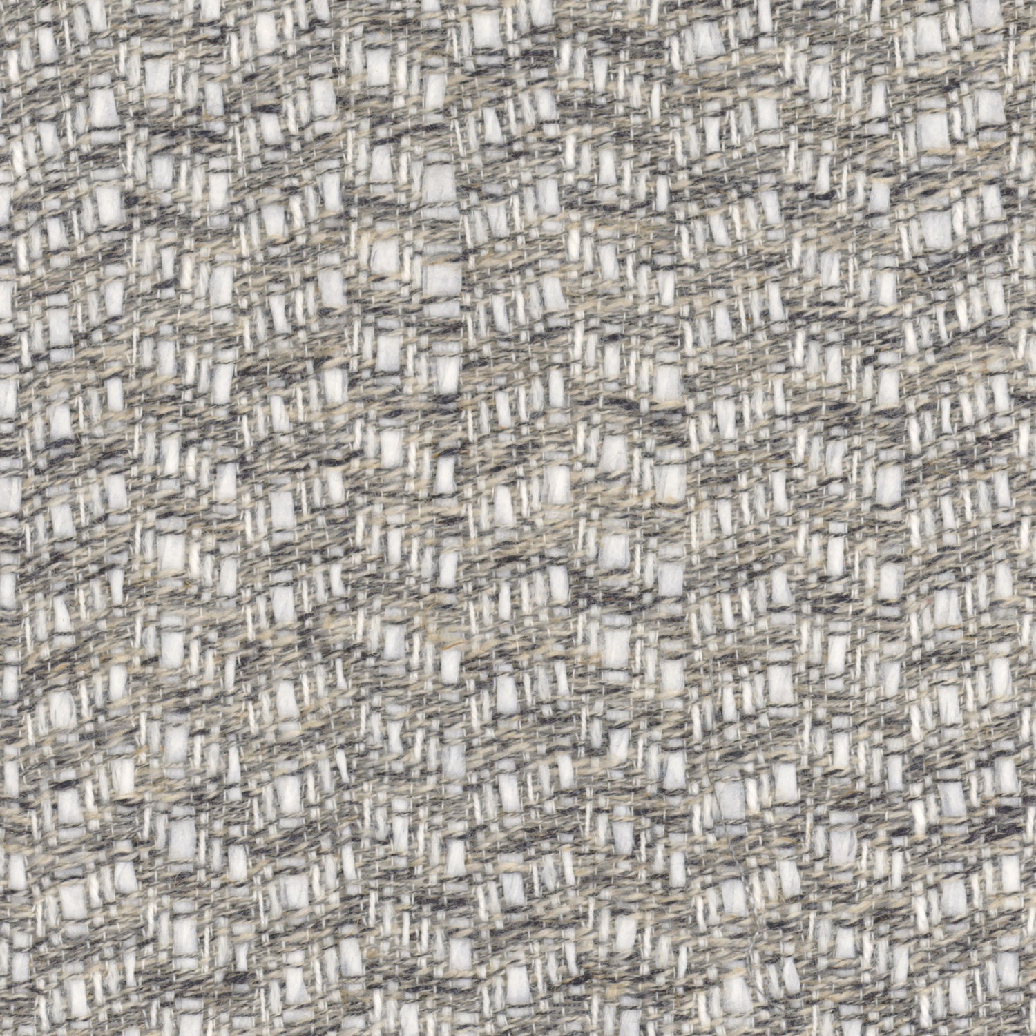Barbotine 34040429