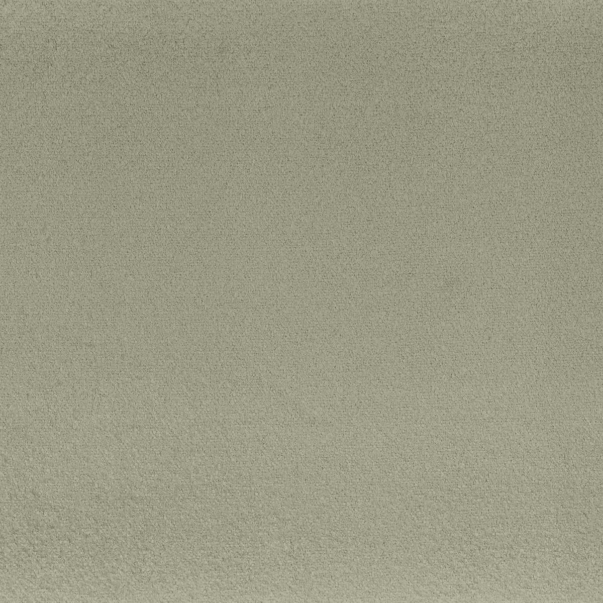 Boccoli 32721509