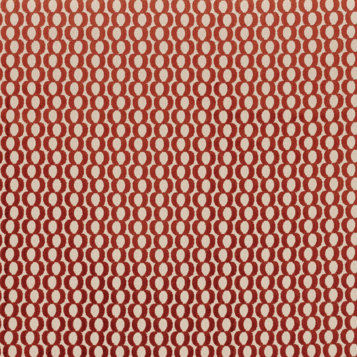 Bulbille 35340592
