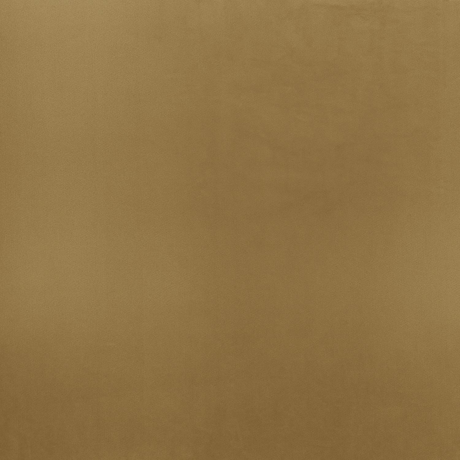 Coulisse B42794038